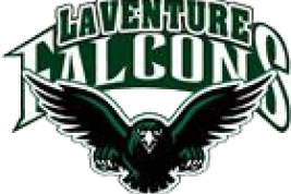 LVMS falcon logo
