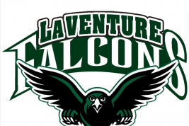 Image of Falcon Logo